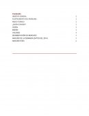 ANÁLISIS DE LA DEMANDA (DATOS DEL 2014)