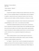 Planificacion Pueblos Originarios