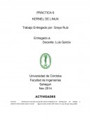 Cambiar el kernel de linux