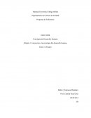 Enfermería - Psicología del Desarrollo Humano