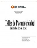 L bebe a estimular es Isidora Alejandra Cortes Cortes, Mujer, de nacionalidad Chilena, nacida el 16 de Octubre de 2014, tiene a la fecha 1 año 17 días