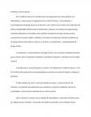 Metodologia a la investigacion. Cultivos Ilícitos.