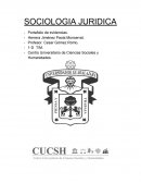 SOCIOLOGIA JURIDICA PORTAFOLIO