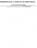 CREACIÓN DE UN MODELO DE EVALUACION DE DESEMPEÑO BAJO LA TEORIA DE LAS COMPETENCIAS