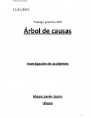 Introducción: Parte del accidente realmente ocurrido y utiliza una lógica de razonamiento que sigue un camino ascendente