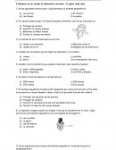 PRUEBA SISTEMA ESQUELETICO