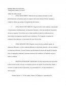 REPERTORIO DE ENTRADA “DISEÑOS CONDUCTUALES”