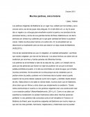 Muchos jardines, única historia