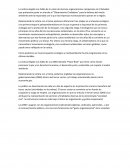 Comentario - noticias