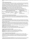 Concepto y Objeto de la Parte Especial.