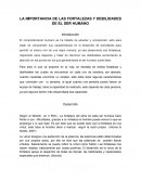 LA IMPORTANCIA DE LAS FORTALEZAS Y DEBILIDADES DE EL SER HUMANO