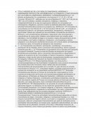 Un Titulo de derechos campesinos en Bolivia