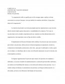 GESTION DEL TALENTO HUMANO CHIAVENATO CAPITULO 14