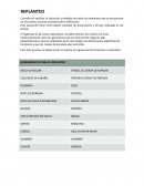 INFORME - REPLANTEO
