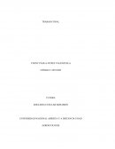 Identificar las principales características que se deben tener en cuenta para determinar la sustentabilidad de una finca