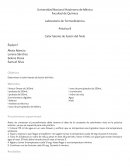 Practica netgalpia hielo