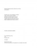 Priorización de problemas con la organización o la comunidad seleccionada