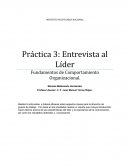 Fundamentos de Comportamiento Organizacional.