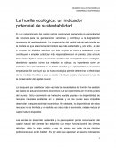 La huella ecológica: un indicador potencial de sustentabilidad