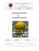 PROGRAMA DE GESTION DE