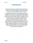 Hidroponia.Introducción El proyecto se basa en un estudio sobre el desarrollo y crecimiento de diferentes especies vegetales utilizando técnicas de cultivo hidropónico (cultivo sin suelo).