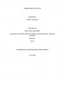 PRIMER ENSAYO DE FISICA