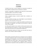 PRÁCTICA N°1 EL CACHORRO