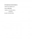 Macro economia ensayo - Economia colombiana