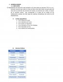 Descripcion geologica quinua socos