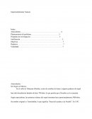 Impermeabilizante Natural