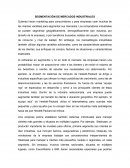 SEGMENTACIÓN DE MERCADOS INDUSTRIALES. MARKETING EN ACCIÓN