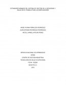 ESTÁNDARES MÍNIMOS DEL SISTEMA DE GESTIÓN DE LA SEGURIDAD Y SALUD EN EL TRABAJO PARA LOS EMPLEADORES