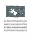 HACIENDA CASA BLANCA.