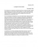 El vino blanco: La elegancia hecha bebida