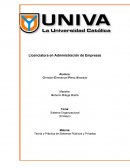 Ensayo Sistema Organizacional