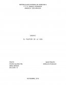 ENSAYO DE MUSICA: EL PALPITAR DE LA VIDA