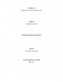 NUESTRO EJEMPLO: MI EJEMPLO