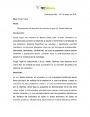 Caso Grupo Togre. Planteamiento de alternativa de solución