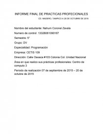 INFORME FINAL DE PRACTICAS PROFECIONALES. Página 1