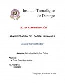Ensayo - Competitividad