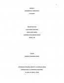 UNIDAD II (DIAGNOSTICO Y PROPUESTA) Analisis costo beneficio