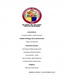 Rasgos de la democracia en la sociedad actual