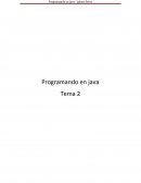 Guía de programación en Java