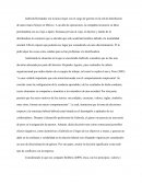 Gabriela y la mentalidad japones.