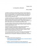 La sandía: Lo más grande y refrescante