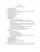 Plan estrategico DANPER S. A. C.