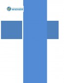 GUÍA DE PRÁCTICAS DIAGNÓSTICO PSICOLÓGICO