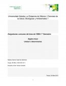 Álgebra lineal: Determinantes