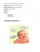 Alfabetizacion inicial: adquisicion del lenguaje