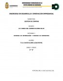 SISTEMAS DE INFORMACIÓN Y PROCESO DE SUMINISTRO